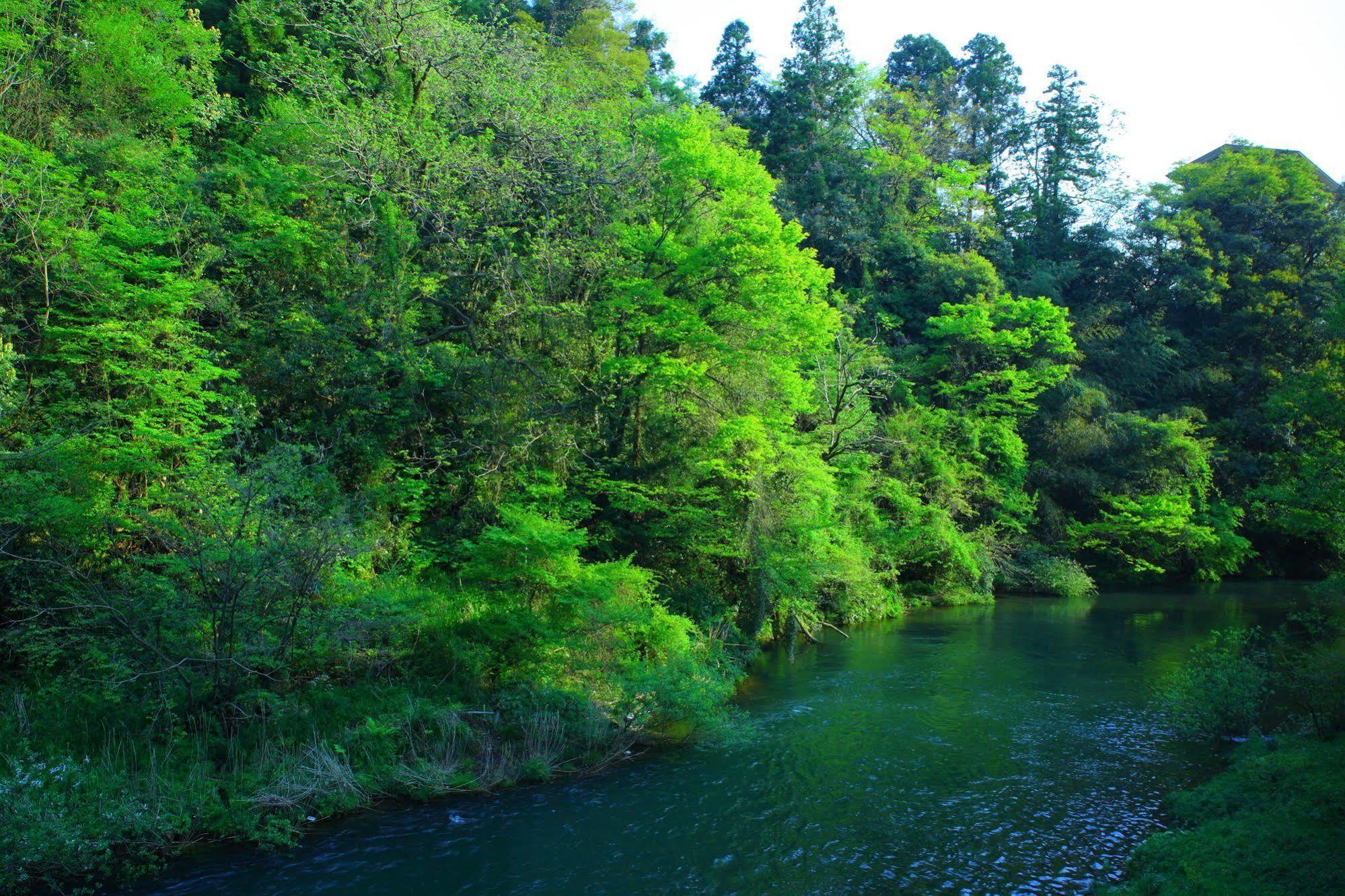 קאגה Yamanakaonsen Ohanami Kyubei מראה חיצוני תמונה